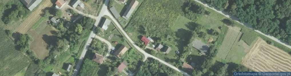 Zdjęcie satelitarne Dziewięczyce ul.