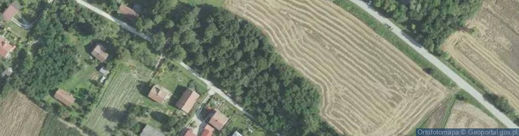 Zdjęcie satelitarne Dziewięczyce ul.