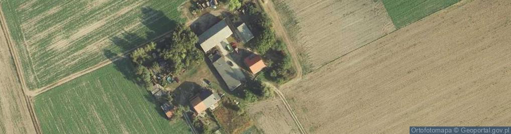 Zdjęcie satelitarne Dziewierzewo ul.