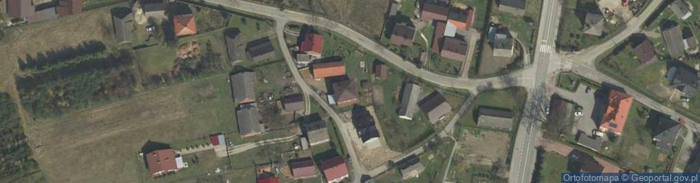 Zdjęcie satelitarne Dziewin ul.