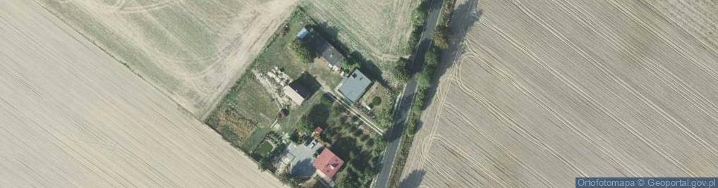 Zdjęcie satelitarne Dziki ul.