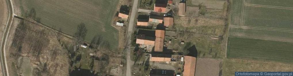 Zdjęcie satelitarne Dzikowa ul.
