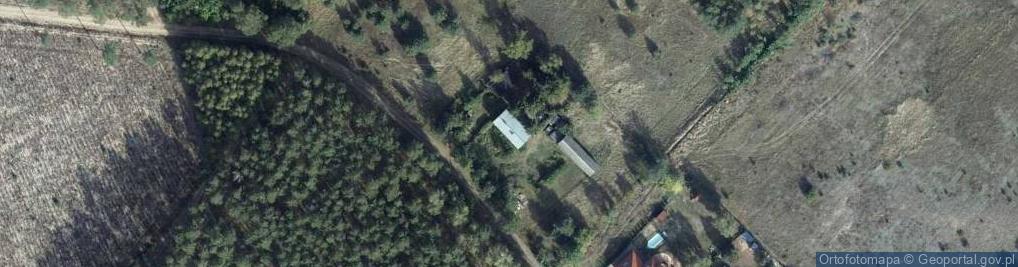 Zdjęcie satelitarne Dzikowska ul.