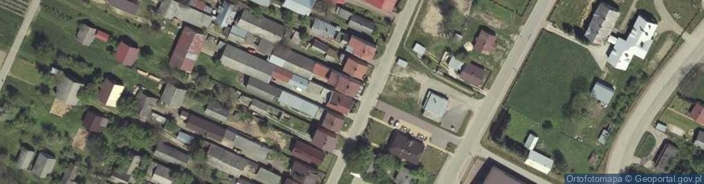 Zdjęcie satelitarne Dzwola ul.