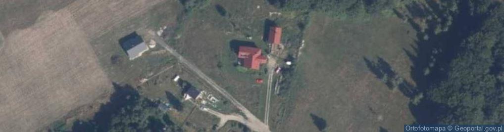 Zdjęcie satelitarne Dziki Sad ul.