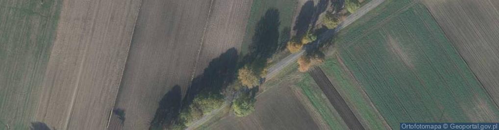 Zdjęcie satelitarne Dziekanowska ul.