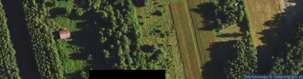 Zdjęcie satelitarne Dzikiej Jabłoni ul.
