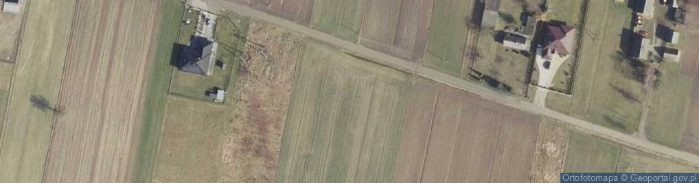 Zdjęcie satelitarne Dzielnicowa ul.