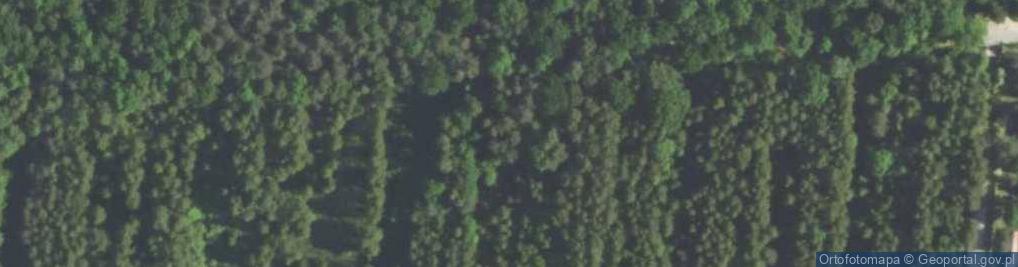 Zdjęcie satelitarne Działkowa ul.