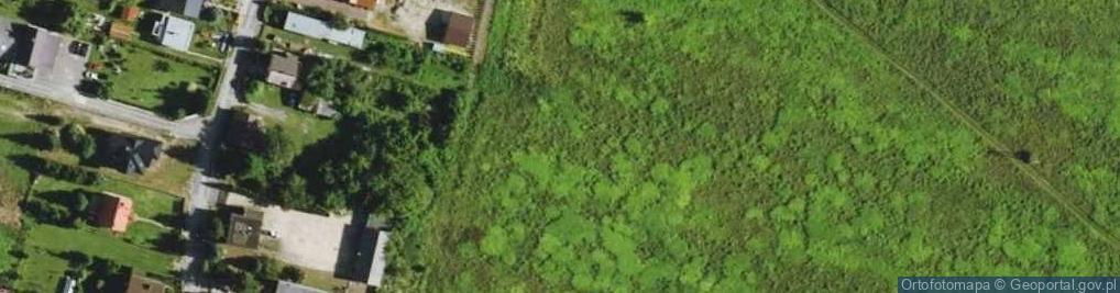Zdjęcie satelitarne Dzikiej Gruszy ul.