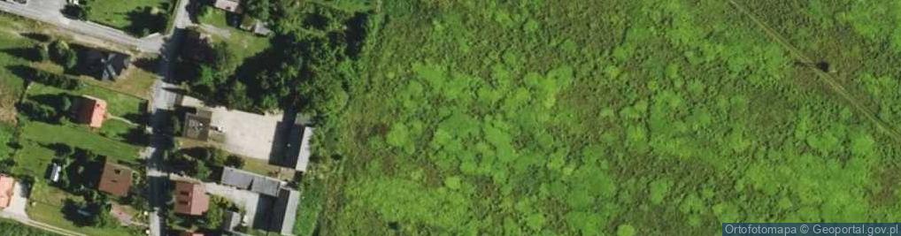 Zdjęcie satelitarne Dzikiej Gruszy ul.
