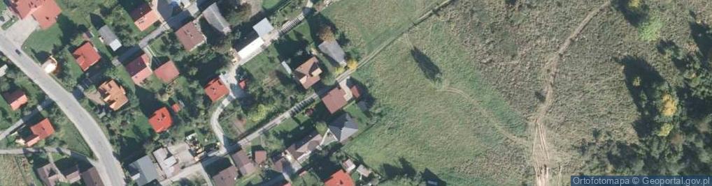 Zdjęcie satelitarne Dziedziców ul.