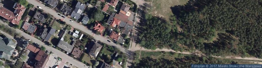 Zdjęcie satelitarne Działyńczyków ul.