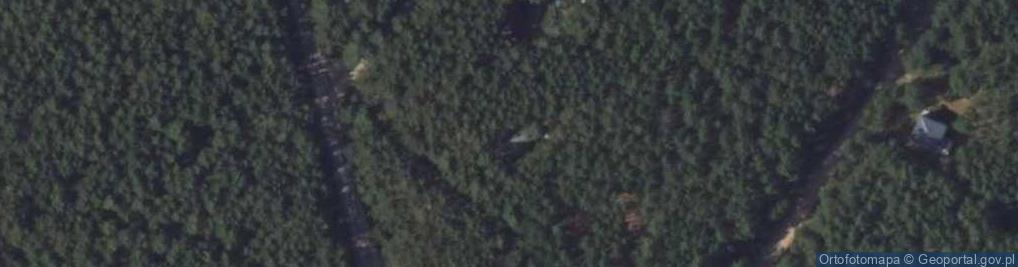 Zdjęcie satelitarne Echa Leśne ul.