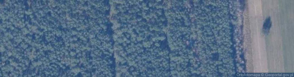 Zdjęcie satelitarne Enklawa ul.