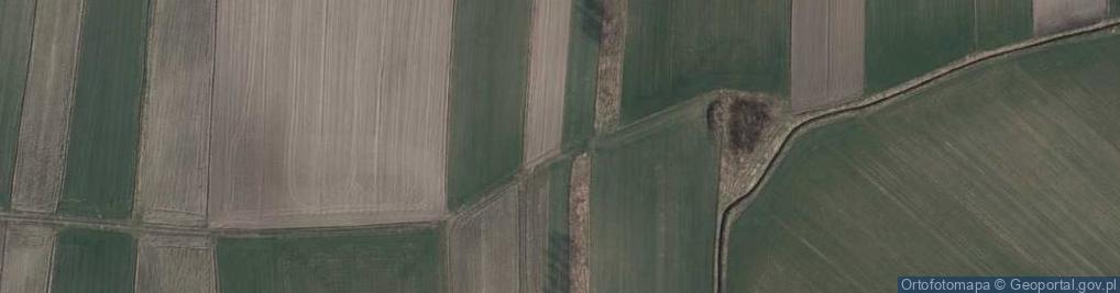 Zdjęcie satelitarne Eryka ul.