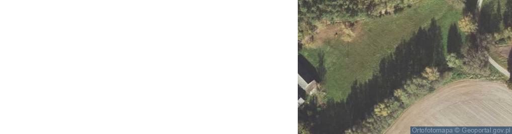 Zdjęcie satelitarne Feliksów ul.