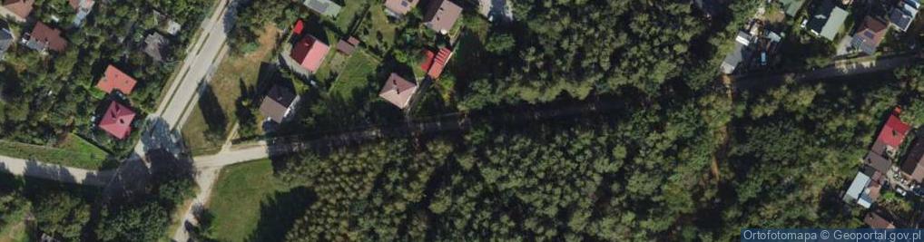 Zdjęcie satelitarne Franciszka Żwirki i Stanisława Wigury ul.