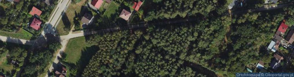 Zdjęcie satelitarne Franciszka Żwirki i Stanisława Wigury ul.