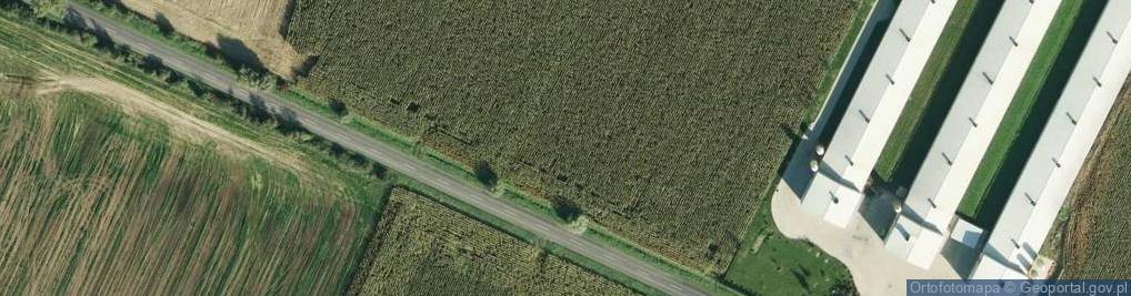 Zdjęcie satelitarne Gałązki ul.