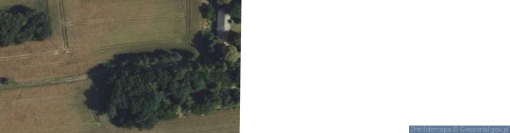 Zdjęcie satelitarne Garwacz ul.