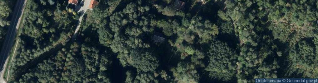 Zdjęcie satelitarne Gajowa ul.