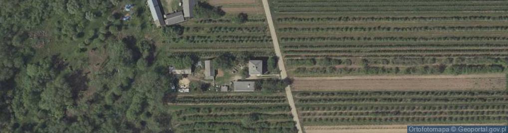 Zdjęcie satelitarne Głodno ul.