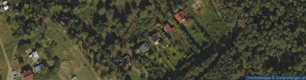 Zdjęcie satelitarne Głodowo ul.