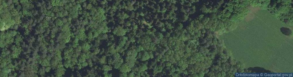 Zdjęcie satelitarne Głogoczów ul.