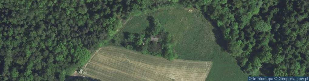 Zdjęcie satelitarne Głogoczów ul.