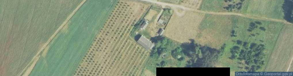 Zdjęcie satelitarne Głuchów-Lasy ul.