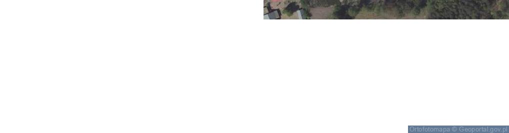 Zdjęcie satelitarne Głusko Duże-Kolonia ul.