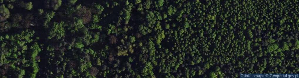 Zdjęcie satelitarne Goździków ul.