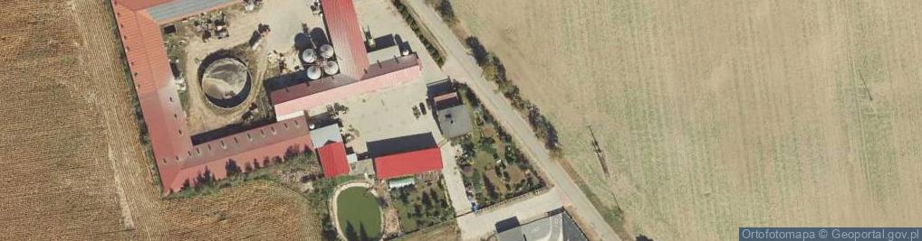 Zdjęcie satelitarne Gogółkowo ul.