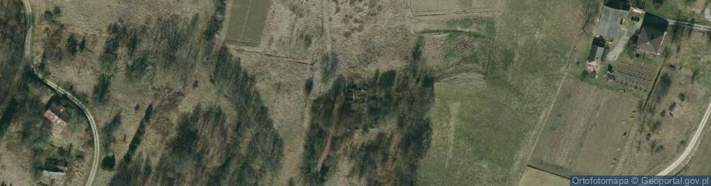 Zdjęcie satelitarne Gogołów ul.
