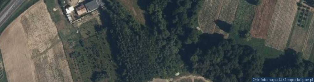 Zdjęcie satelitarne Goławin ul.