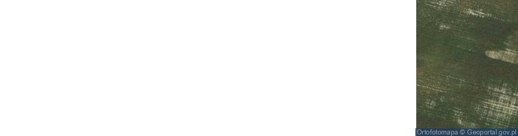 Zdjęcie satelitarne Gołębiewo ul.