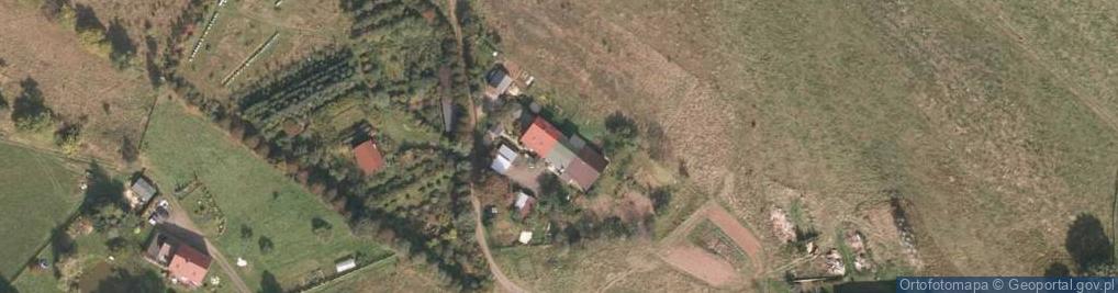 Zdjęcie satelitarne Golińsk ul.