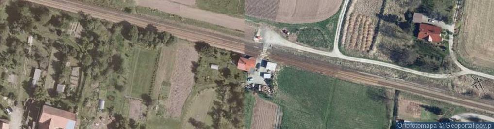 Zdjęcie satelitarne Gołogłowy ul.