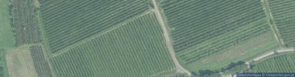 Zdjęcie satelitarne Góra Świętego Jana ul.