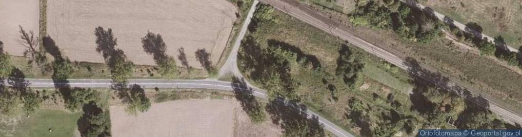 Zdjęcie satelitarne Gorzuchów ul.