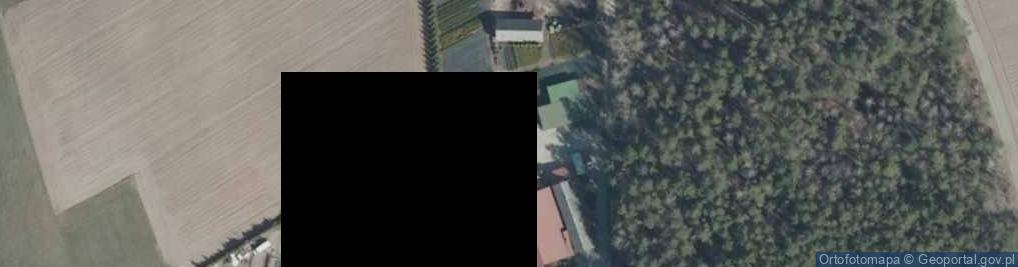 Zdjęcie satelitarne Gosie Duże ul.