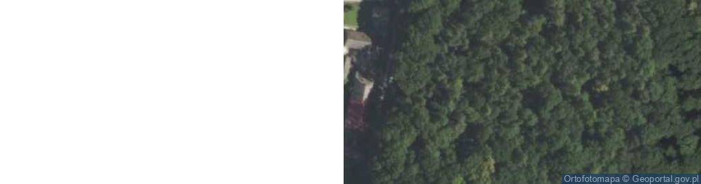 Zdjęcie satelitarne Górki ul.