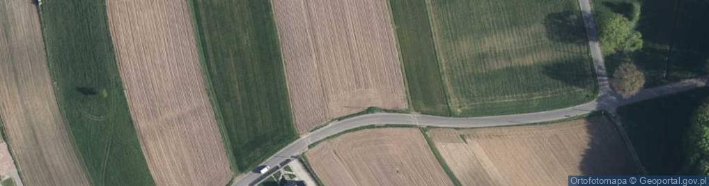 Zdjęcie satelitarne Goplany ul.