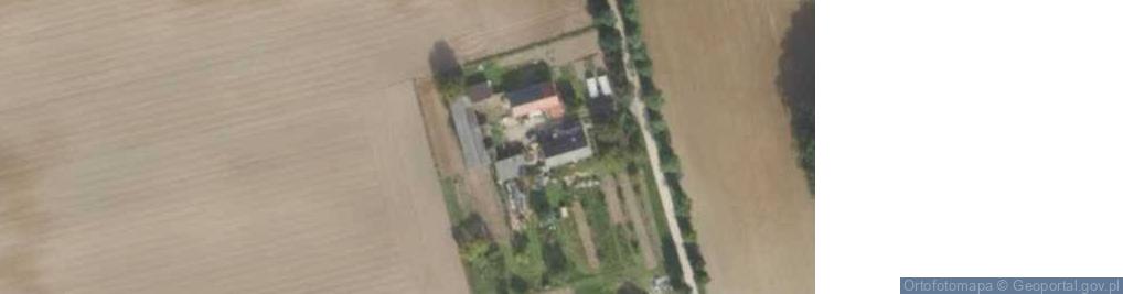 Zdjęcie satelitarne Gralewo ul.