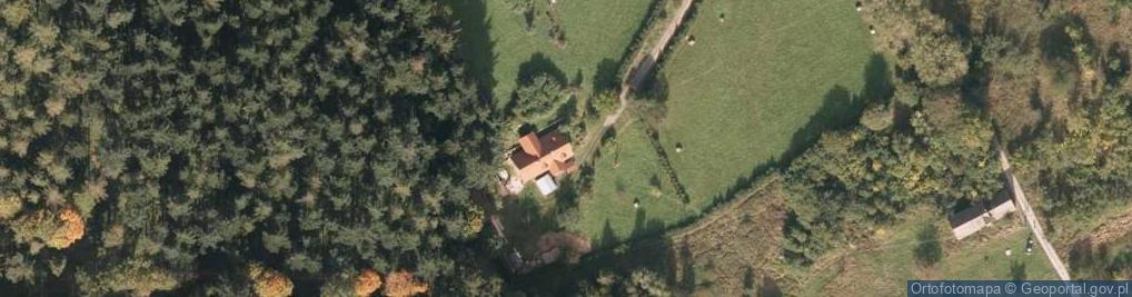 Zdjęcie satelitarne Grodziszcze Kolonia ul.