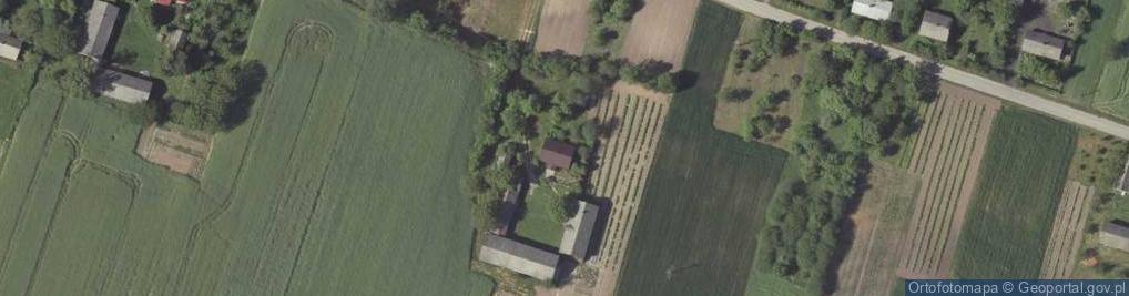 Zdjęcie satelitarne Gruszka Duża-Kolonia ul.