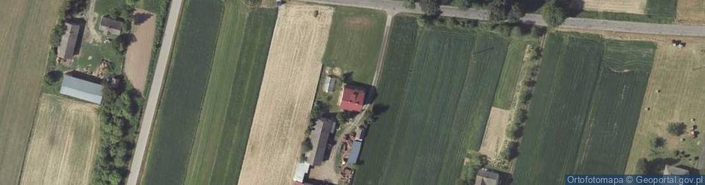Zdjęcie satelitarne Gruszka Mała Pierwsza ul.