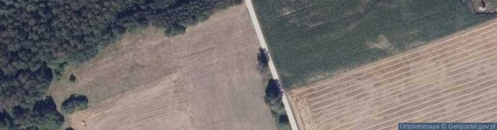 Zdjęcie satelitarne Grzebienie ul.