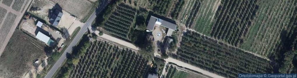 Zdjęcie satelitarne Grzęby ul.